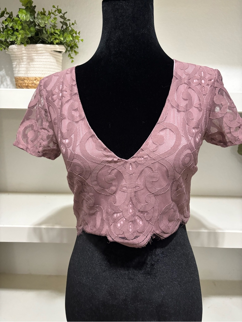 Tobi Mauve Pink Lace V-Neck Crop Top